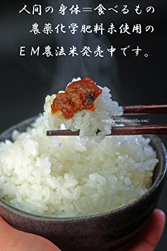 Amazon.co.jp: 令和7年産 九州産 白米 ヒノヒカリ 20キロ（5キロ4袋